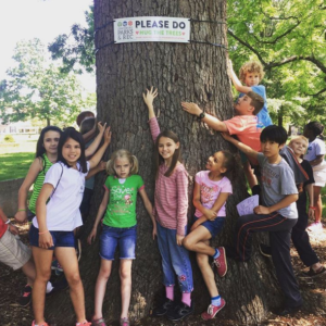 Please do hug the trees, Lynchburg